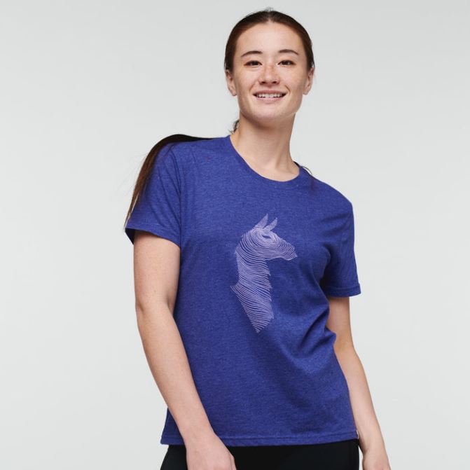 Cotopaxi Brands Topo Llama T-shirt Femme Bleu Violet