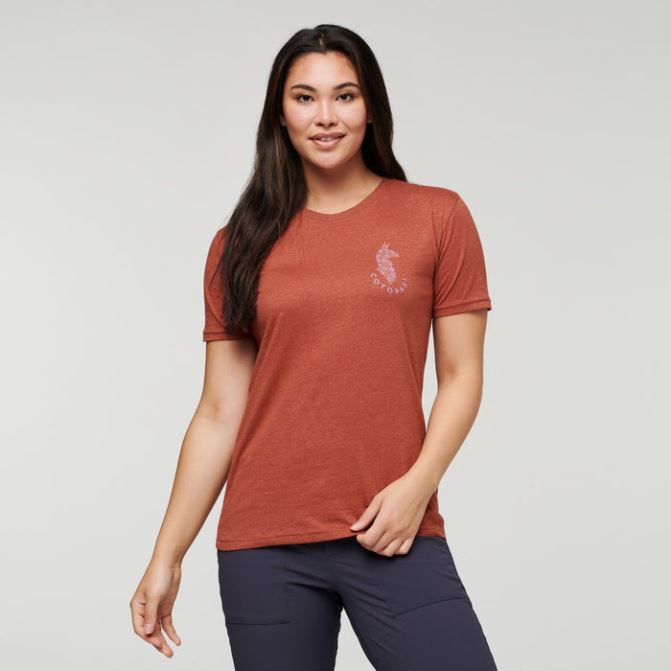 T-shirt Bio Amateur De Lama Aux épices Femme Cotopaxi Origin