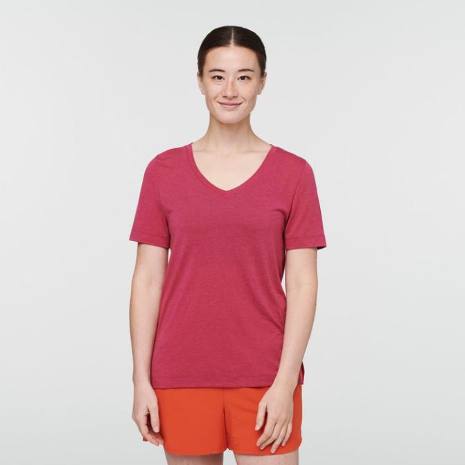 T-shirt De Voyage Raspberry Paseo Femmes Marques Cotopaxi