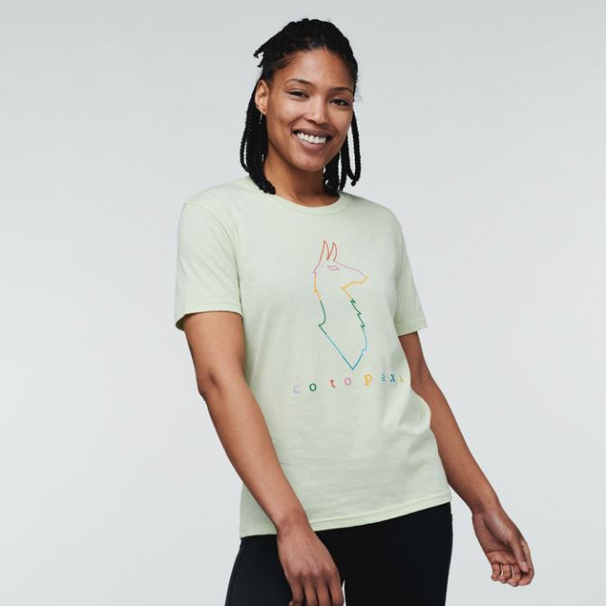 Meilleur Cotopaxi Lichen Lama électrique T-shirt Femmes
