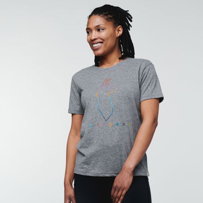 New Cotopaxi Electric Llama T-shirt Femme Gris Chiné