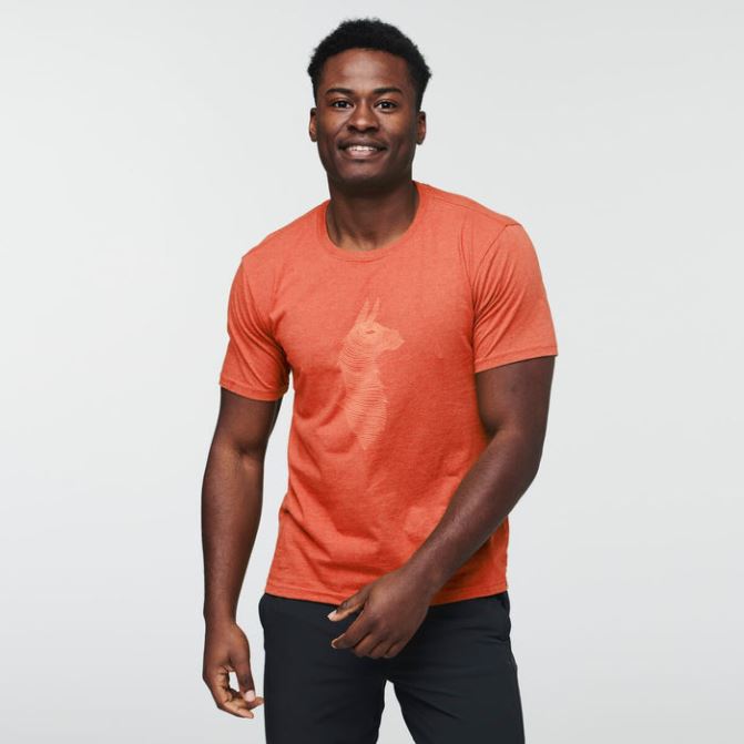 Canyon Topo Llama T-shirt Hommes Collections Cotopaxi