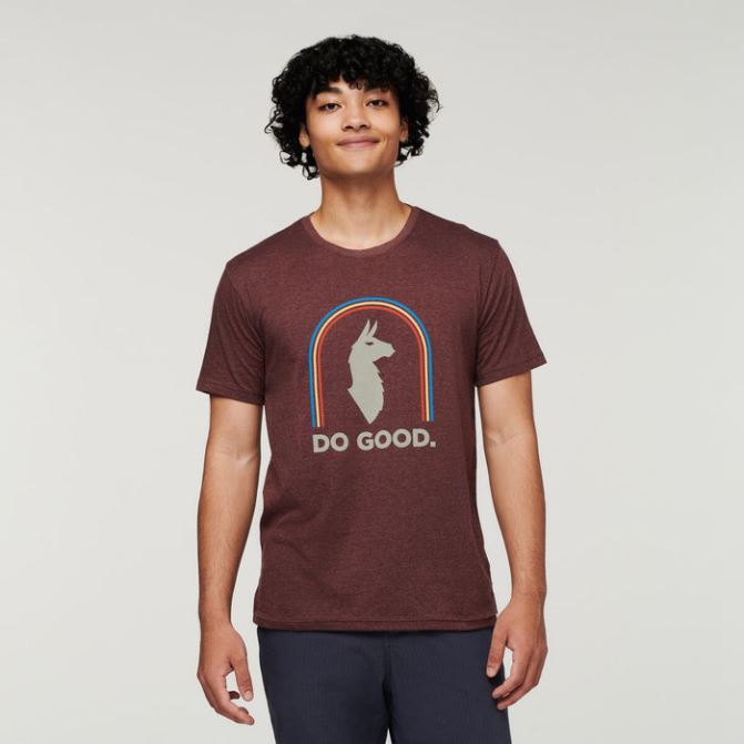 Original Sunshine Do Good T-shirt Bio Homme Châtaigne Cotopaxi