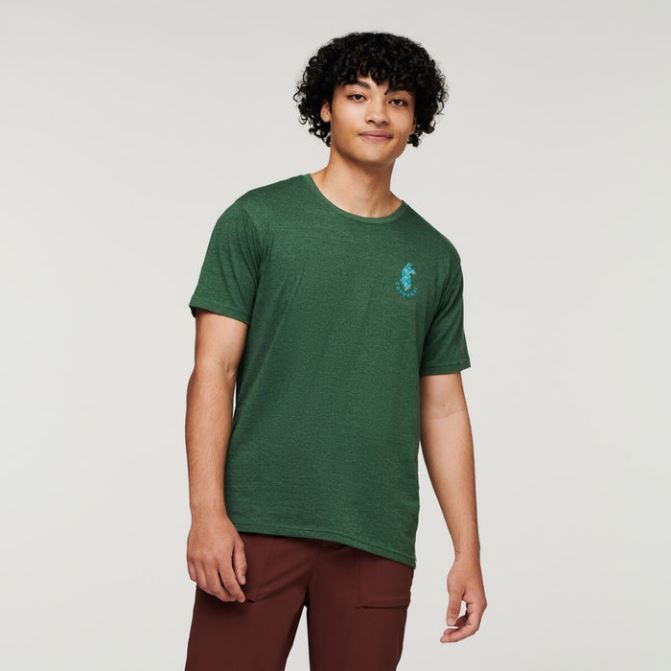 Mode Forêt Lama Amant Organique T-shirt Hommes Cotopaxi
