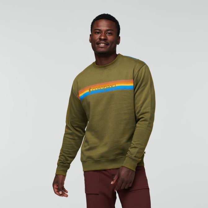 Cotopaxi Collection Oak On The Horizon Sweat-shirt Biologique Homme